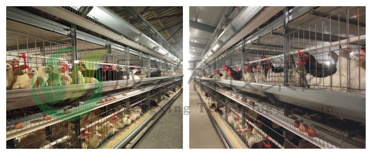 Ñø¼¦É豸 Ñø¼¦É豸