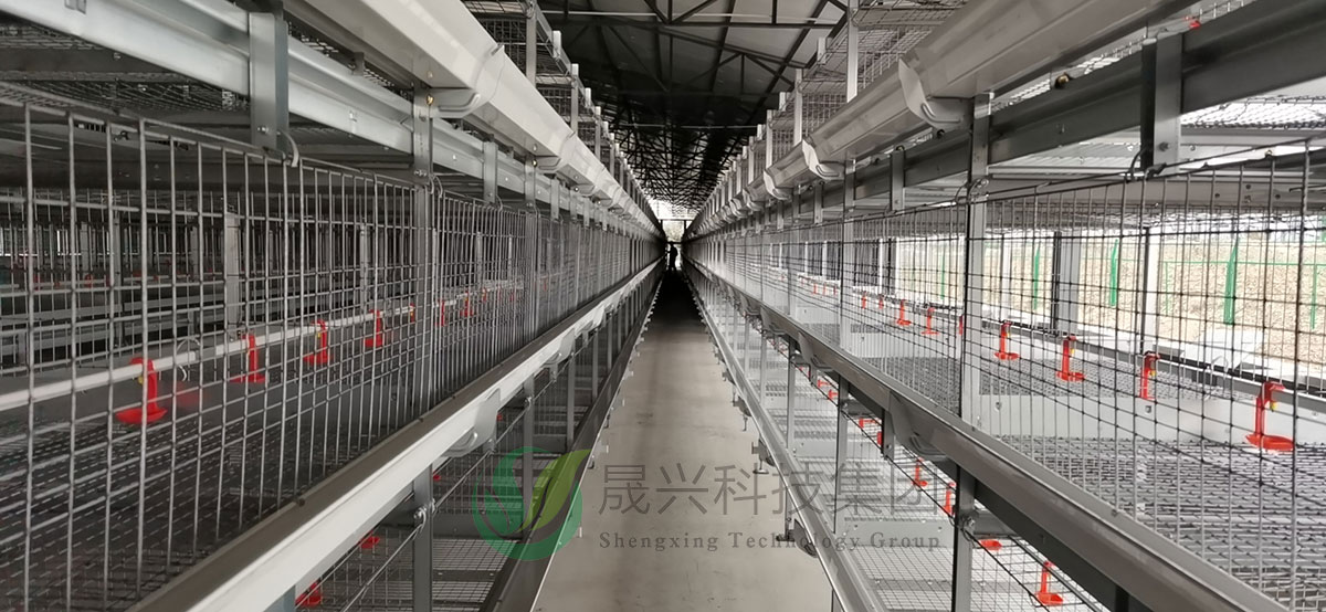 �⼦��ֳ�豸