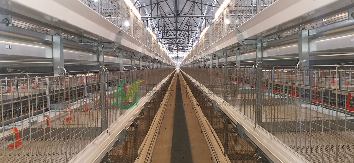 �⼦��ֳ�豸