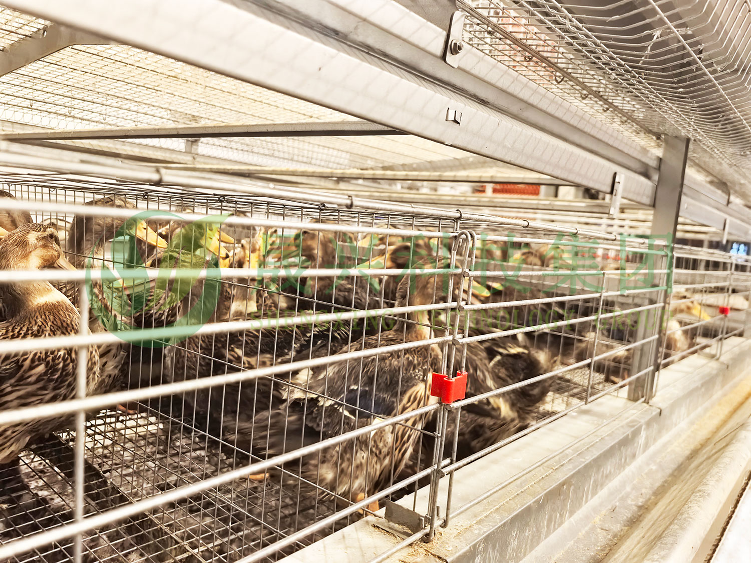 ����Ѽ�豸