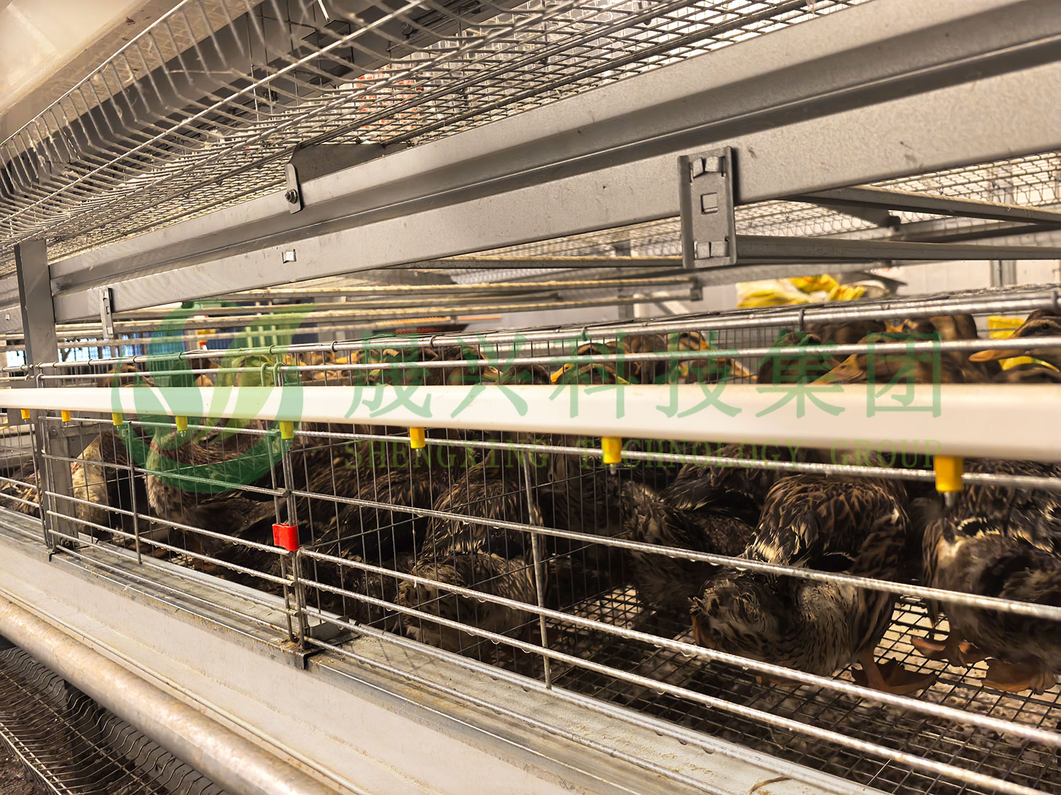 ����Ѽ�豸