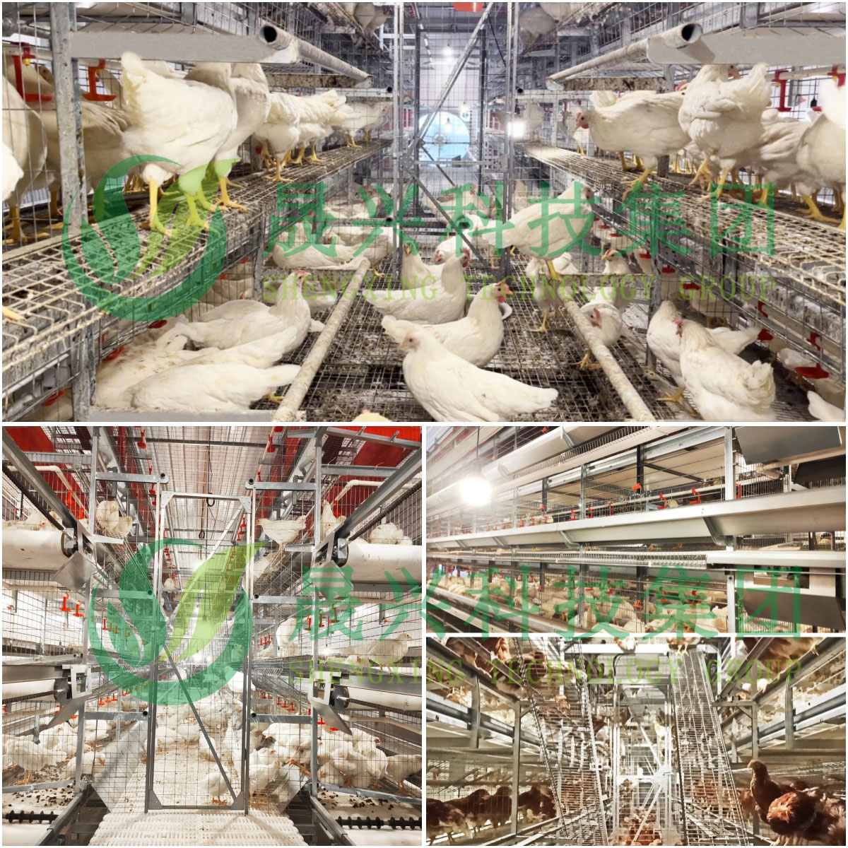 emcÒ×±¶(ÖйúÇø)¹Ù·½ÍøÕ¾