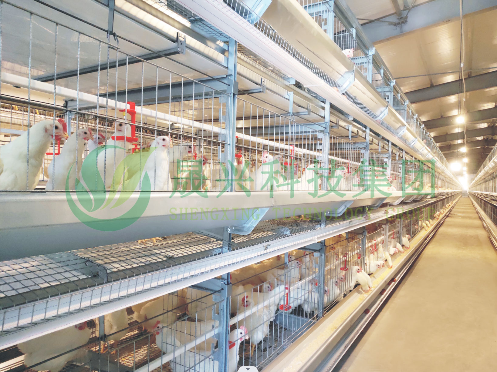 Ñø¼¦É豸 Ñø¼¦É豸