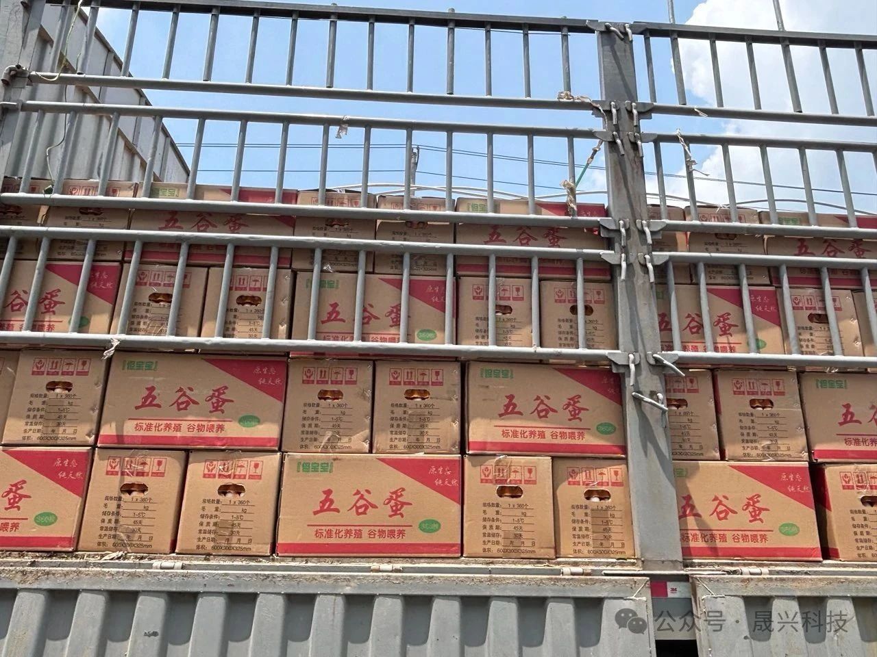 Ñø¼¦É豸 Ñø¼¦É豸